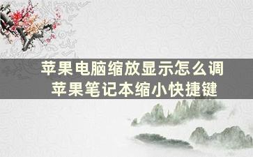 苹果电脑缩放显示怎么调 苹果笔记本缩小快捷键